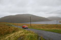 21_Autumn_Leaves_Sun-163