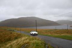 21_Autumn_Leaves_Sun-167