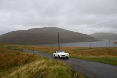 21_Autumn_Leaves_Sun-168