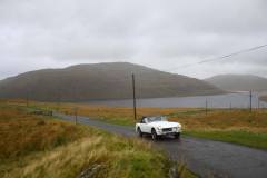 21_Autumn_Leaves_Sun-169