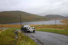 21_Autumn_Leaves_Sun-191