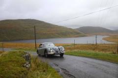 21_Autumn_Leaves_Sun-198