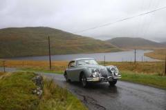 21_Autumn_Leaves_Sun-199