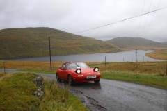 21_Autumn_Leaves_Sun-205