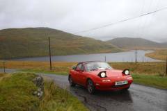 21_Autumn_Leaves_Sun-206