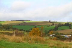 23_Autumn_Leaves_-002