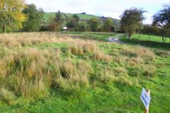 23_Autumn_Leaves_-004