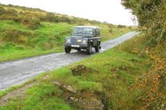 23_Autumn_Leaves_-011