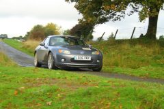 23_Autumn_Leaves_-025