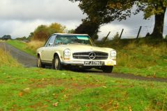 23_Autumn_Leaves_-029