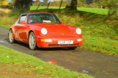 23_Autumn_Leaves_-034