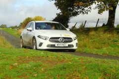 23_Autumn_Leaves_-047