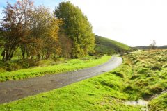 23_Autumn_Leaves_-049
