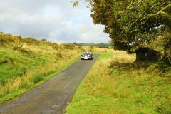 23_Autumn_Leaves_-050
