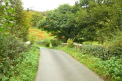 23_Autumn_Leaves_-152