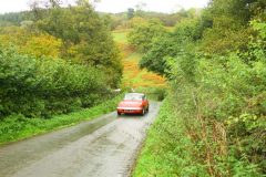 23_Autumn_Leaves_-161