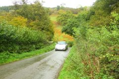 23_Autumn_Leaves_-163