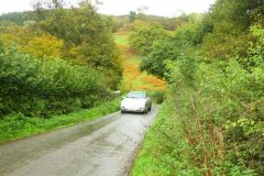 23_Autumn_Leaves_-164