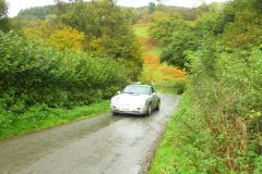23_Autumn_Leaves_-165