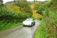 23_Autumn_Leaves_-166