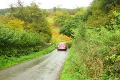 23_Autumn_Leaves_-167