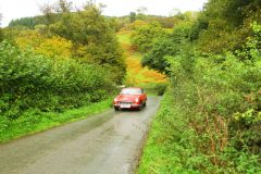 23_Autumn_Leaves_-173
