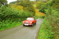 23_Autumn_Leaves_-174