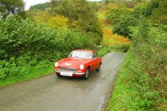 23_Autumn_Leaves_-175