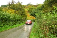 23_Autumn_Leaves_-176