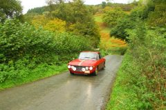 23_Autumn_Leaves_-178