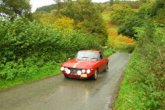 23_Autumn_Leaves_-179