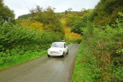 23_Autumn_Leaves_-181