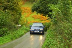 23_Autumn_Leaves_-183