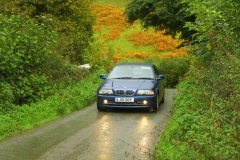 23_Autumn_Leaves_-184
