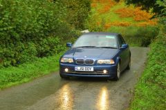 23_Autumn_Leaves_-185