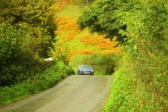 23_Autumn_Leaves_-186