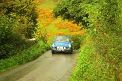 23_Autumn_Leaves_-189