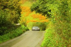 23_Autumn_Leaves_-194