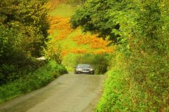 23_Autumn_Leaves_-195