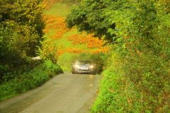 23_Autumn_Leaves_-196