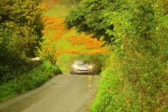 23_Autumn_Leaves_-197