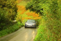 23_Autumn_Leaves_-198