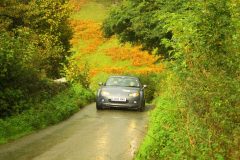 23_Autumn_Leaves_-199