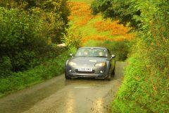 23_Autumn_Leaves_-200