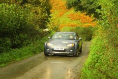 23_Autumn_Leaves_-201