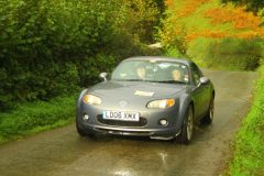 23_Autumn_Leaves_-203