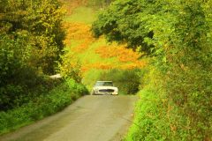 23_Autumn_Leaves_-204