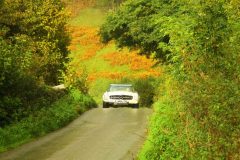 23_Autumn_Leaves_-205