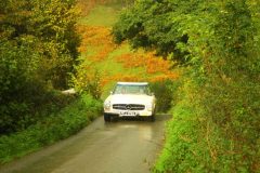 23_Autumn_Leaves_-206