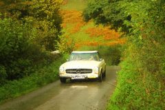 23_Autumn_Leaves_-207